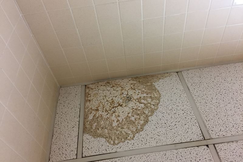 Plafond taché et endommagé par une fuite